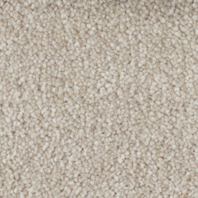 Peerless Tryesse Pro Calm Sanctuary Beige Clay A4483_19018