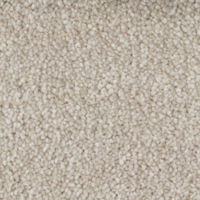 Peerless Tryesse Pro Calm Haven Beige Clay A4485_19018