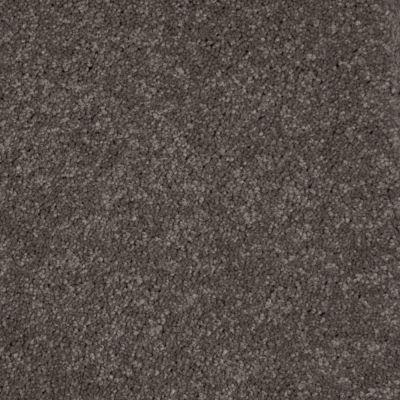 Peerless Nyluxe Petguard Bichon Dark Mineral Grey A4681_84221