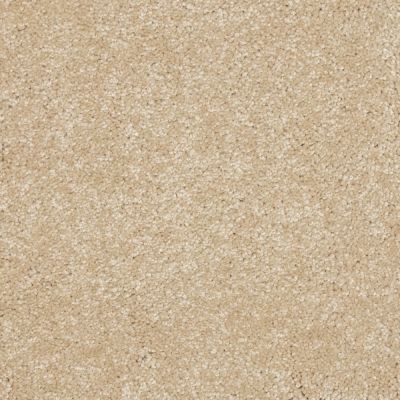 Peerless Nyluxe Petguard Collie Gardenia Beige A4683_14252