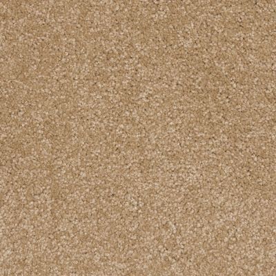 Peerless Nyluxe Petguard Collie Special Beige A4683_18684