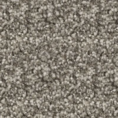 Peerless Nyluxe Petguard & Tri-twist Prodigy Sycamore Grey J4695_84236