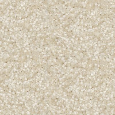 Peerless Nyluxe Petguard & Tri-twist Epitome Linen J4697_14233