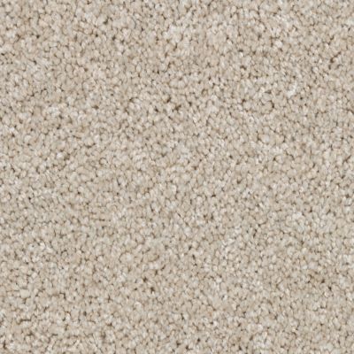 Peerless Tryesse Ultra Silky Sparkle Velvety Clay A4780_18923