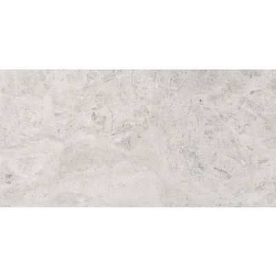 Marble Systems Silver Clouds Gray TL13383