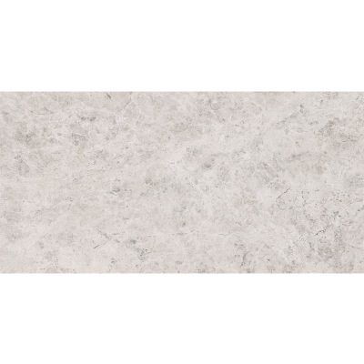 Marble Systems Silver Clouds Gray TL16364