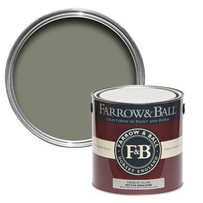 Farrow And Ball Current Palette Treron 5029496879216