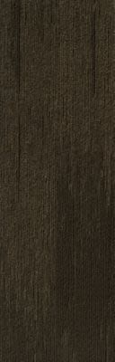 Mohawk Group Urban Transit Tile 12by36 Essential RBNTRTL1236