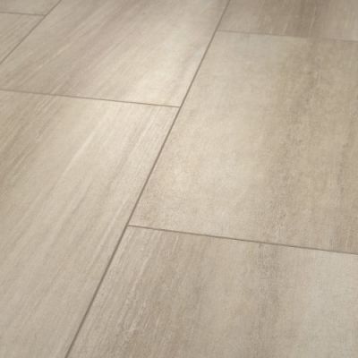 Shaw Industries Paragon Tile Plus Ash 01008_1022V