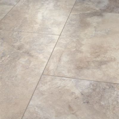 Shaw Industries Paragon Tile Plus Pebble 01009_1022V