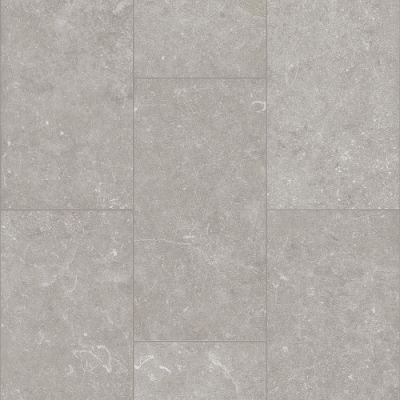 Shaw Industries Paragon Tile Plus Pewter 05260_1022V