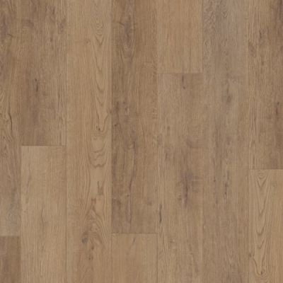 International Flooring Company Canyon Signature+ Radnor Oak WP0860_00009