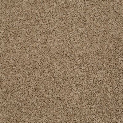 Beverly Grove Lasting Luxury  FINE UMBER LL_00726_Z6777