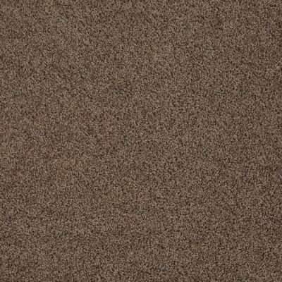 Beverly Grove Lasting Luxury  VICUNA LL_00736_Z6777