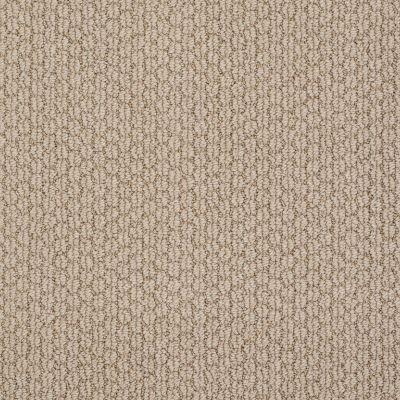 Cathedral Hill Lasting Luxury  BAKED BEIGE LL_00173_Z6780