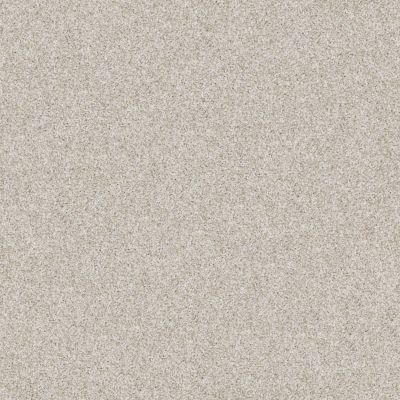 Shady Canyon Lasting Luxury  OYSTER SHELL LL_00152_Z6786