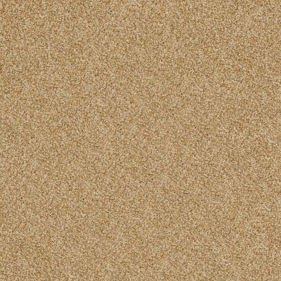 Shady Canyon Lasting Luxury  GOLD DUST LL_00225_Z6786