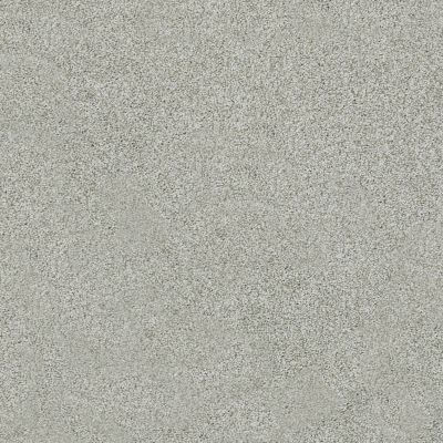 Shady Canyon Lasting Luxury  ANTIQUE SAGE LL_00313_Z6786