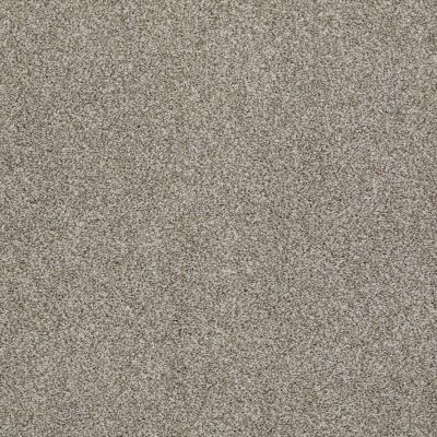 Shady Canyon Lasting Luxury  DEMURE TAUPE LL_00573_Z6786