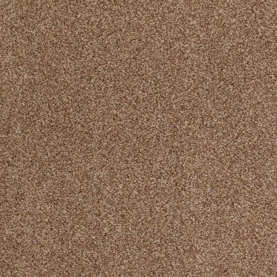 Shady Canyon Lasting Luxury  INDIAN SPICE LL_00654_Z6786