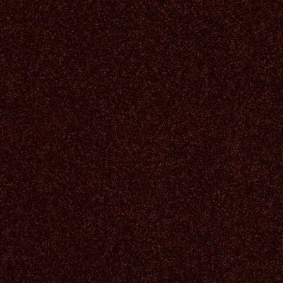 Shady Canyon Lasting Luxury  MERLOT LL_00678_Z6786