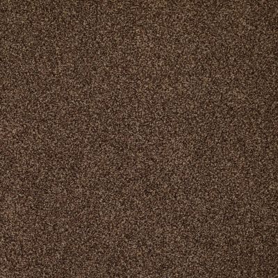 Shady Canyon Lasting Luxury  TRUFFLE LL_00738_Z6786