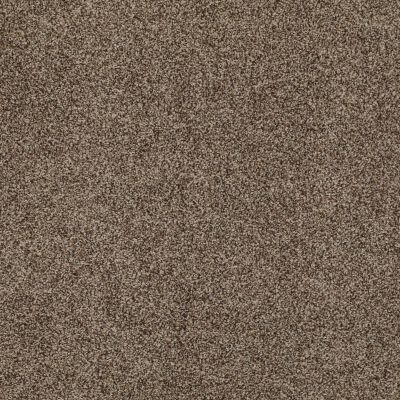 Shady Canyon Lasting Luxury  MALTED CRUNCH LL_00758_Z6786