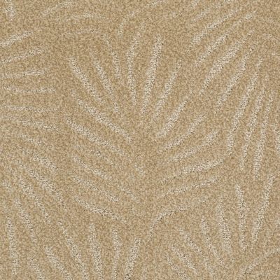 First In Class Lasting Luxury  AMBER GLOSS LL_00722_Z6798