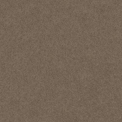 Serendipity I Lasting Luxury  SIMPLY TAUPE LL_00572_Z6814