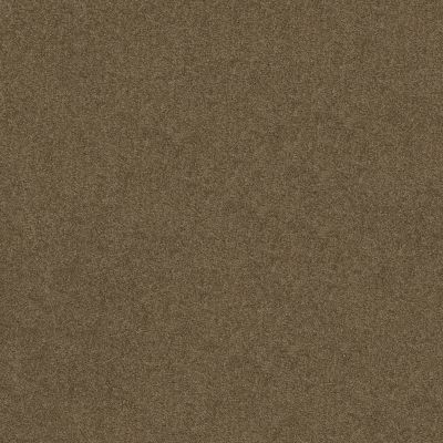 Serendipity I Lasting Luxury  VICUNA LL_00736_Z6814