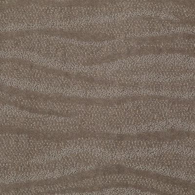Surf’s Up Lasting Luxury  SIMPLY TAUPE LL_00572_Z6822