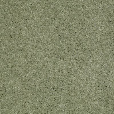 Fantasy Lasting Luxury  APPLEMINT LL_00333_Z6853