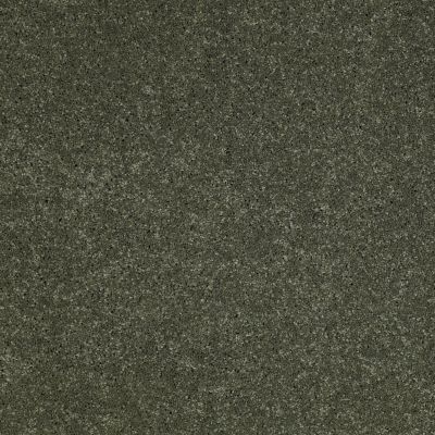 Fantasy Lasting Luxury  BAY LEAF LL_00345_Z6853