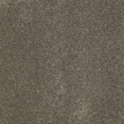Fantasy Lasting Luxury  STEEL WOOL X LL_00556_Z6853