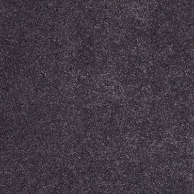 Fantasy Lasting Luxury  SOULFUL PURPLE LL_00996_Z6853