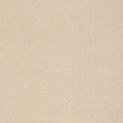 Vibe Lasting Luxury  MACADAMIA LL_00122_Z6863