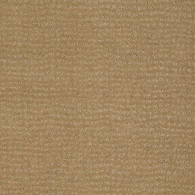 Vibe Lasting Luxury  SAHARA SUN LL_00273_Z6863