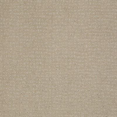 Vibe Lasting Luxury  ALPACA LL_00513_Z6863