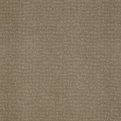 Vibe Lasting Luxury  GREIGE LL_00575_Z6863