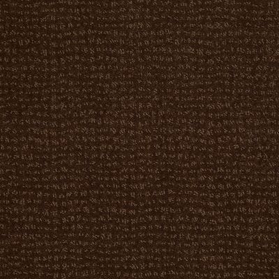 Vibe Lasting Luxury  CUB LL_00778_Z6863