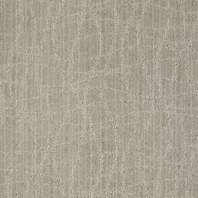 Twist Lasting Luxury  ASH GRAY LL_00552_Z6869