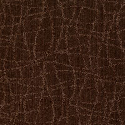 Twist Lasting Luxury  CATSKILL BROWN LL_00777_Z6869