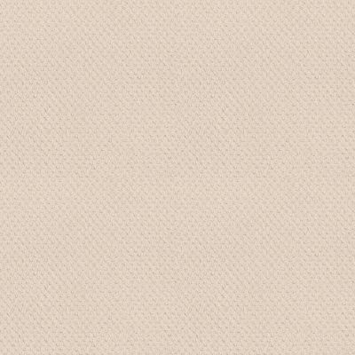 Mar Vista Lasting Luxury  ALPINE LACE LL_00101_Z6899