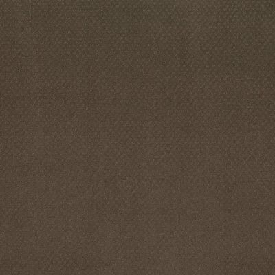 Mar Vista Lasting Luxury  CHOCOLATE CURL LL_00757_Z6899
