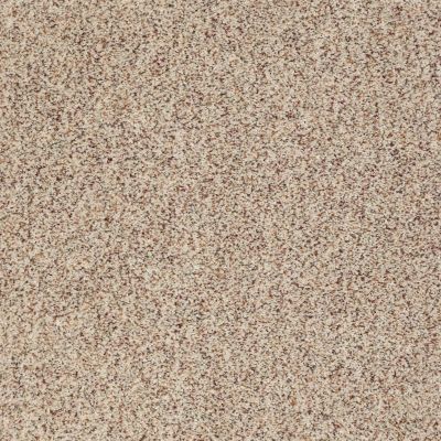 Serendipity II Berber Lasting Luxury  TWEED LL_0121B_Z6941