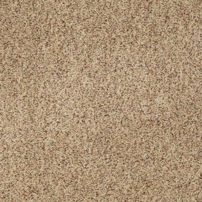 Serendipity II Berber Lasting Luxury  RAW SILK LL_0172B_Z6941