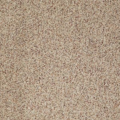 Serendipity II Berber Lasting Luxury  HEATHER LL_0174B_Z6941
