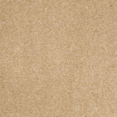 Serendipity II Lasting Luxury  CHAMOIS LL_00221_Z6942