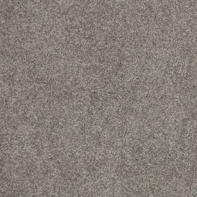 Serendipity II Lasting Luxury  TITANIUM LL_00544_Z6942