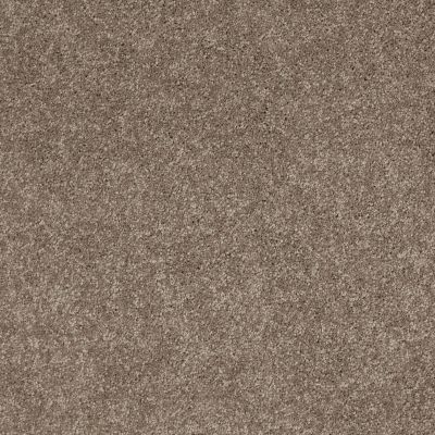 Serendipity II Lasting Luxury  SIMPLY TAUPE LL_00572_Z6942